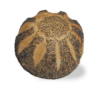 Afbeelding van Witte maanzaadbol zacht